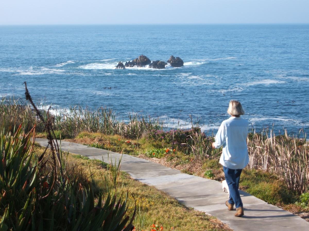 Smuts Ave. Guest Rooms Hermanus Εξωτερικό φωτογραφία